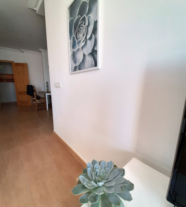 apartments-alcala-tenerife-costa-adeje-cactus-11.jpg